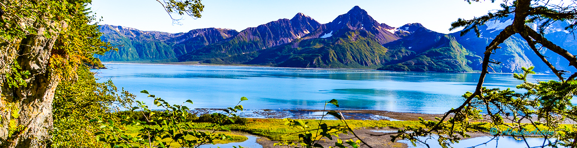 A beautiful lake with trees in front and a mountain in the background