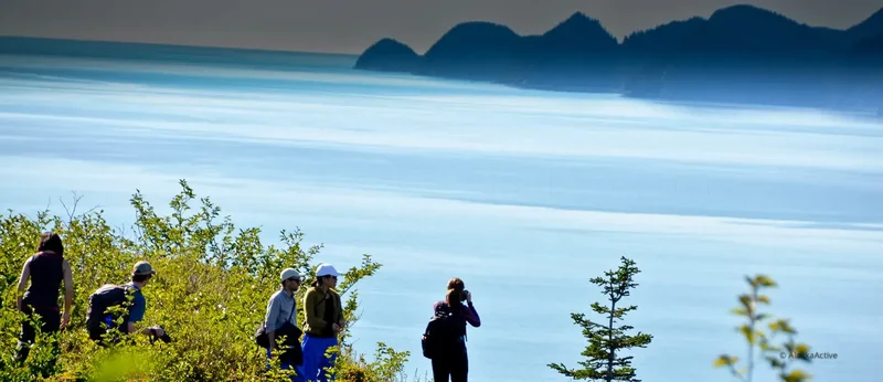 Alaska wildlife and glacier view