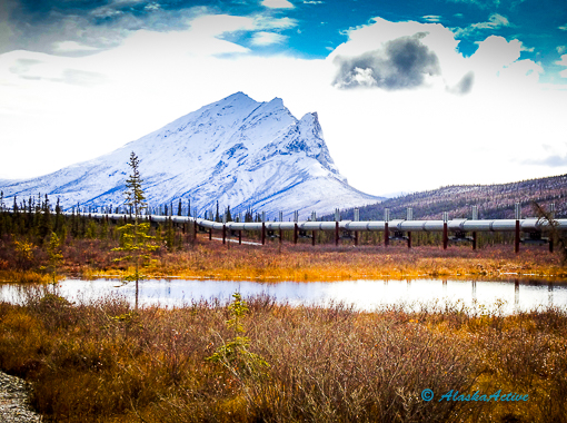 Driving along Dalton Highway
