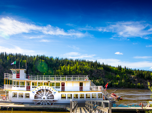 Dawson City by Tammy