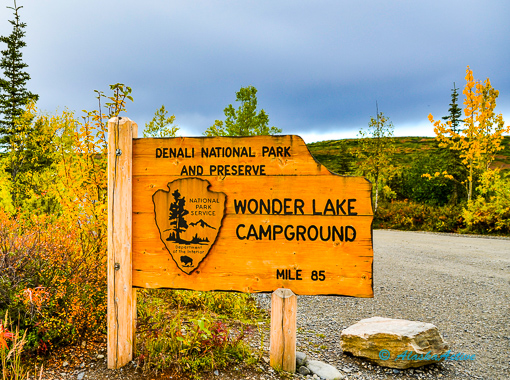 Denali National Park - Spirit of USA