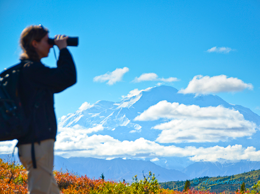 Hiking in Denali National Park