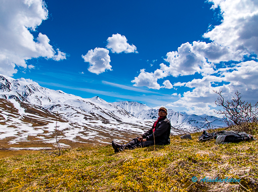 Peaks of Denali Road Trip