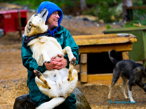 Jeff King with his sled dog
