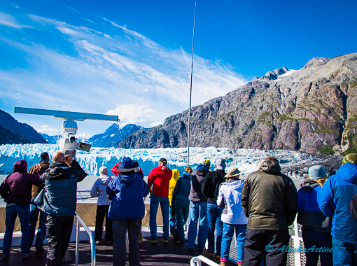 Wildlife viewing in Glacier Bay National Park
