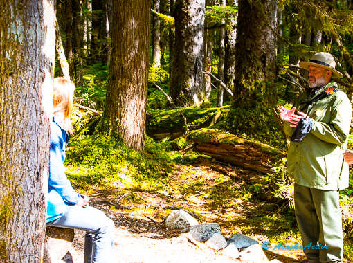 Hike with Park Ranger at Glacier Bay