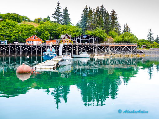 Halibut Cove Sights