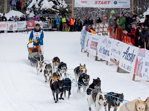 Driving your sled dog team in Willow