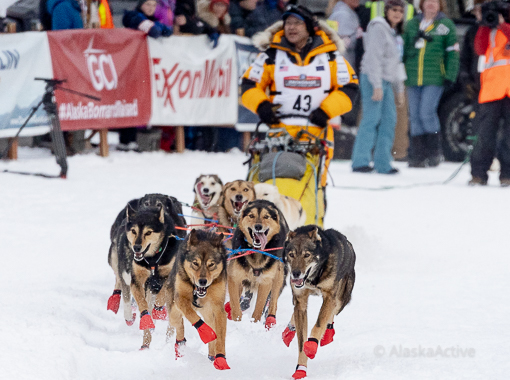 Action at the Willow Race Start Iditarod