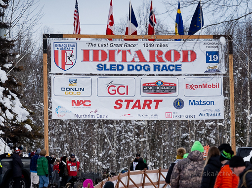 Action at the Iditarod Race Start