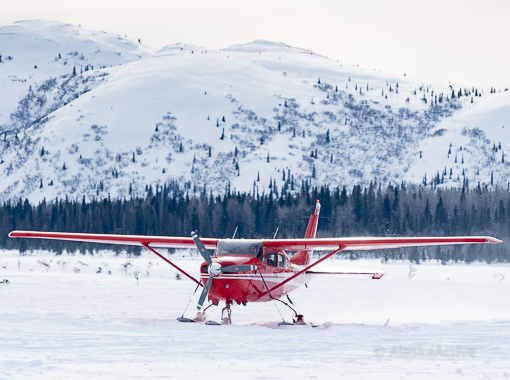 Iditarod Air Force in work