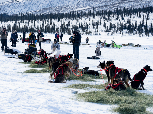 Iditarod musher arriving in Rainy Pass