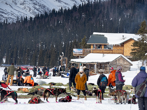 Winter at Rainy Pass Lodge with sled dog teams
