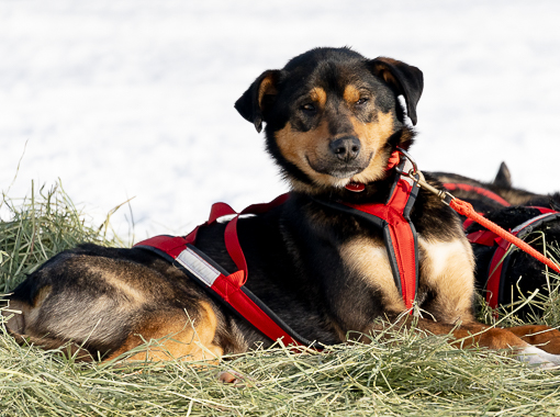 Rainy Pass Checkpoint
