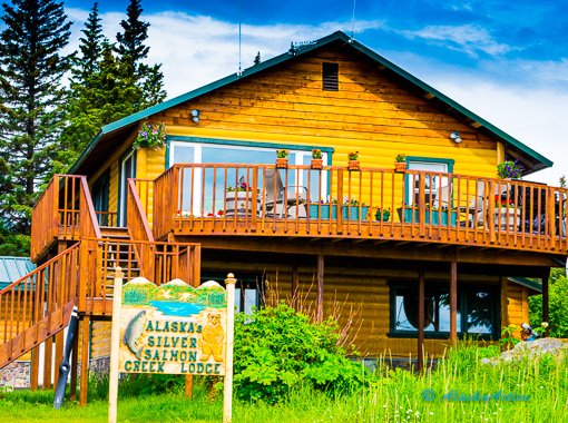 Kenai Peninsula Road Trip