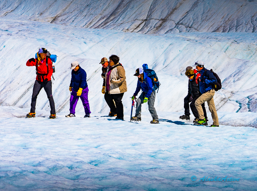 Glacier Hike