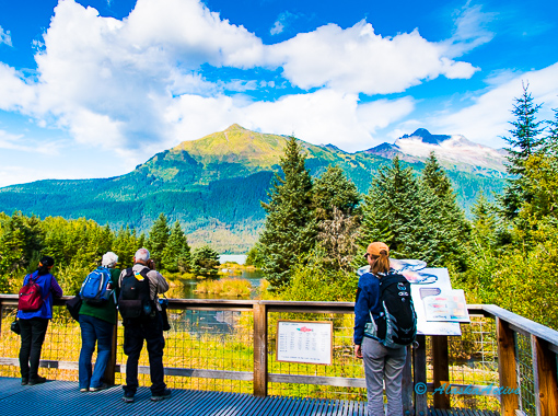 Viewing Plattform near Mendenhall Glacier