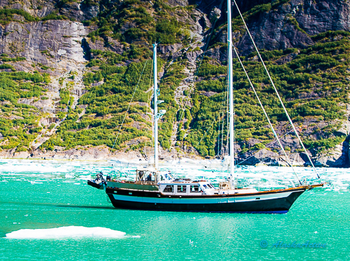 An Alaska Railroad train winding through the scenic mountains of the Interior