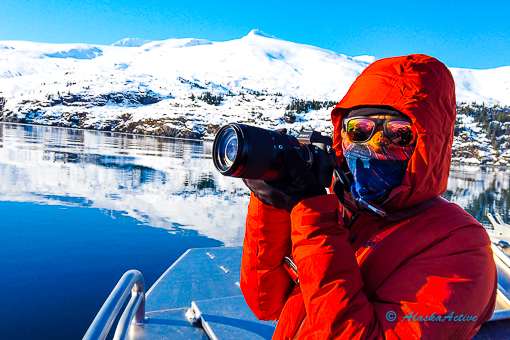 Iditarod Team at the Starting Chute in Willow